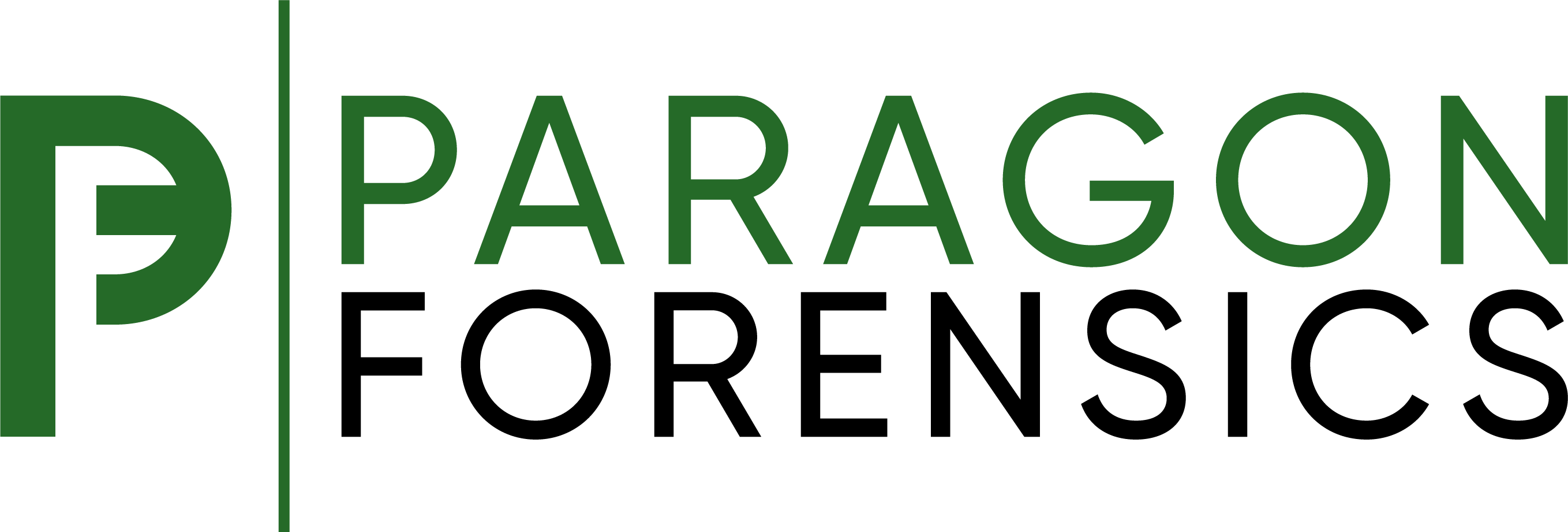 Paragon Forensics